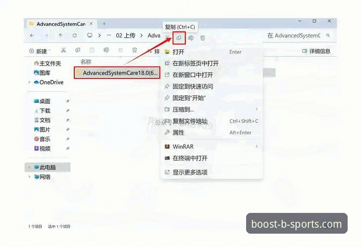 资深用户分享BSPORTS下载使用指南：从安装到实战的完整心得